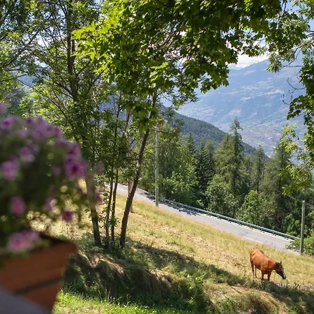 Petite Cerise Apartmán Gressan